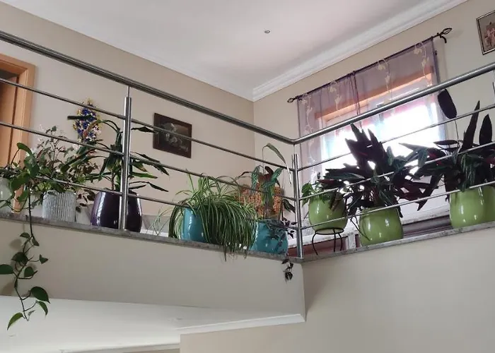 Beco Do Patalugo Homestay