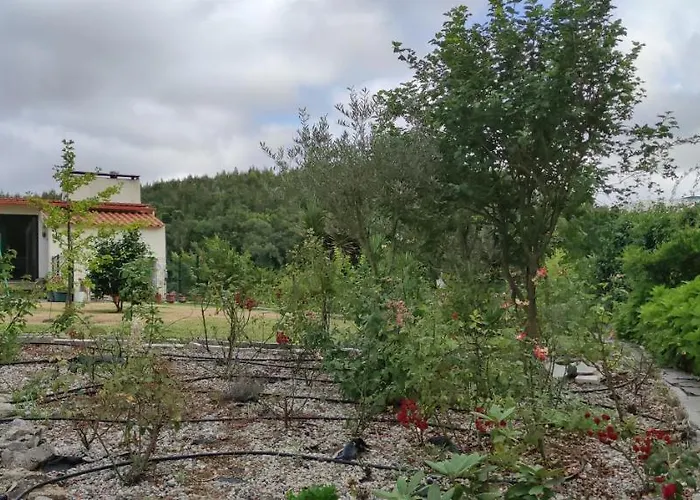 Beco Do Patalugo Homestay *